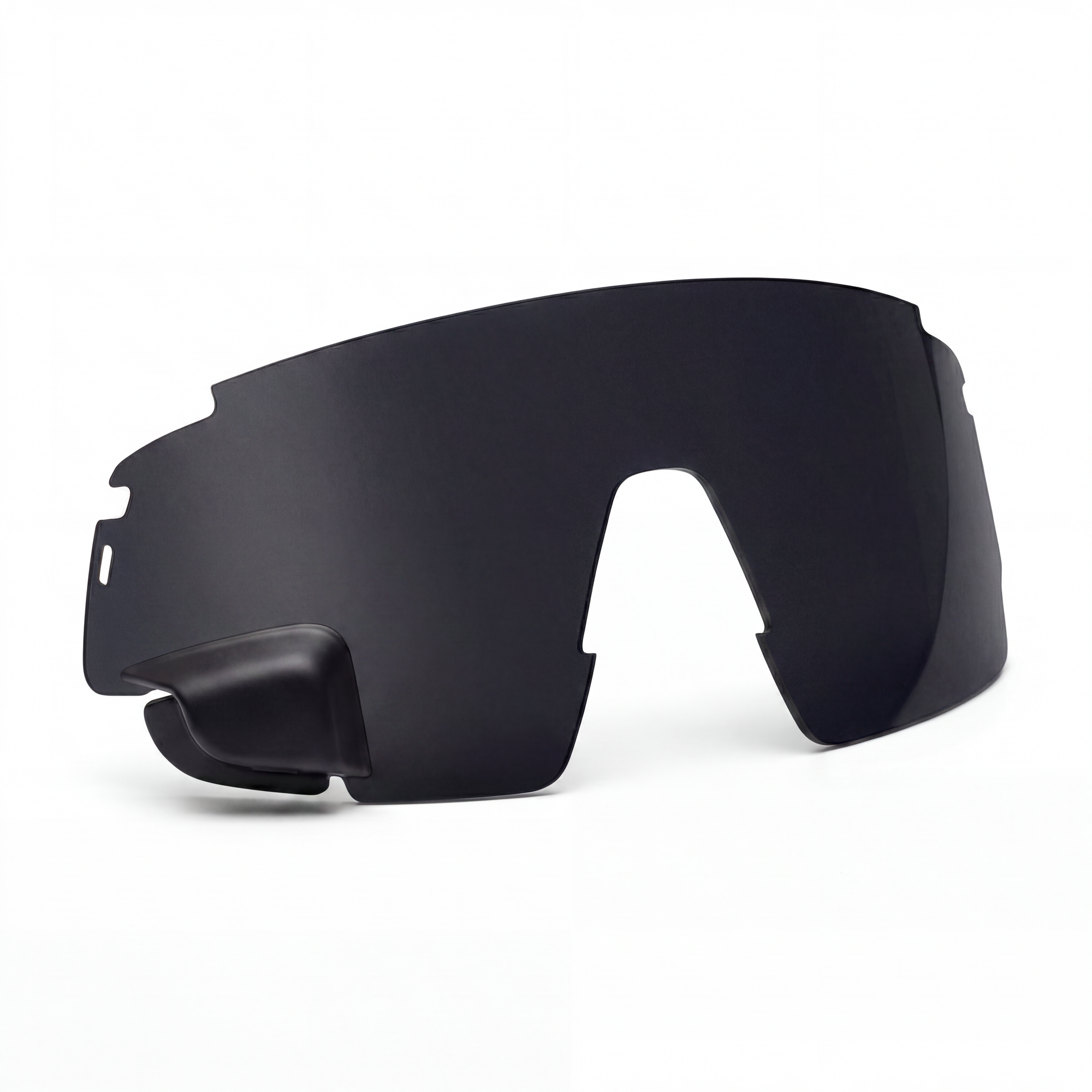 Right Spare Lens_Polarized Dark