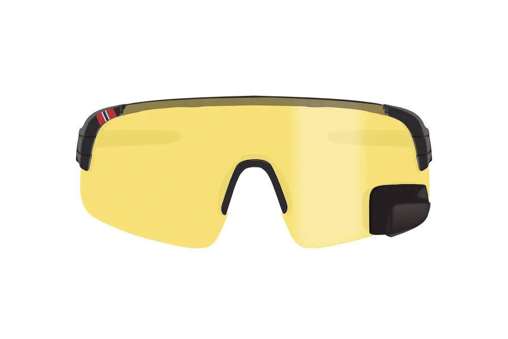 TriEye View Sport Standard Cycling Glasses Smoke Lens with Mirror