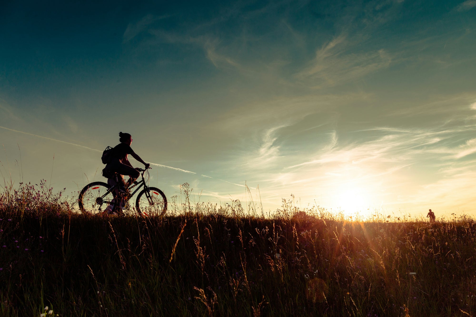 Une personne roule à bicyclette le long d'un champ herbeux au coucher du soleil, avec un sac à dos et des fleurs sauvages au premier plan. Le ciel est rempli de nuages épars et le soleil est bas sur l'horizon.